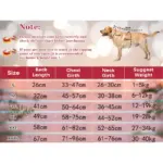 Weihnachtskostüm für Haustiere – Lustiges Nikolaus-Outfit für Hund und Katze – Bild 2