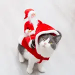 Weihnachtskostüm für Haustiere – Lustiges Nikolaus-Outfit für Hund und Katze – Bild 4